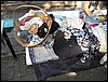 100_9838.JPG