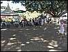 100_9850.JPG