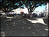 100_9851.JPG