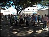 100_9917.JPG
