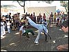 101_0249.JPG