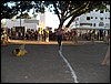 101_0549.JPG
