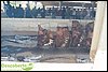 100_0419.JPG