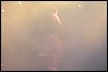 100_1184.JPG