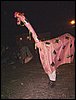 DSC04273.JPG