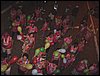 DSC04297.JPG