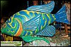 100_2981.JPG