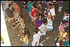 100_3483.JPG