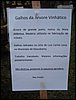 DSC06945.JPG
