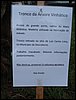DSC06947.JPG