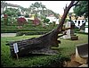 DSC06951.JPG