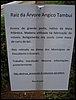 DSC06952.JPG