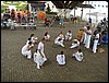 DSC06982.JPG