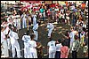 100_2279.JPG