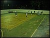 DSC07494.JPG
