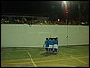 DSC07949.JPG