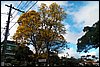 100_4088.JPG