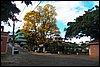 100_4089.JPG