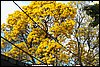 100_4093.JPG