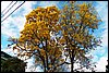 100_4095.JPG