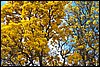 100_4096.JPG