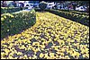 100_4107.JPG