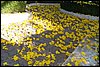 100_4108.JPG