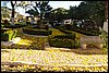 100_4111.JPG