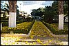 100_4114.JPG