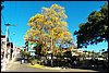 100_4119.JPG