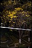 100_4157.JPG