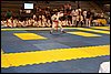 100_7433.JPG