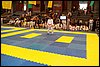 100_7437.JPG