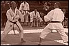 100_7790.JPG