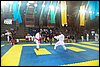 100_7877.JPG