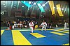 100_7896.JPG