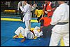 100_7944.JPG
