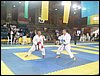 SDC11867.JPG