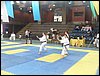 SDC11992.JPG