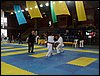 SDC12012.JPG