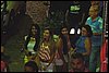 100_4455.JPG