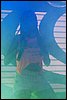 100_5079.JPG