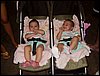 SDC12884.JPG