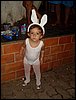 SDC13061.JPG