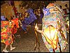 SDC13146.JPG