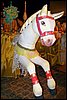 100_5517.JPG