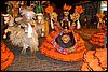 100_5586.JPG