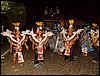 SDC13290.JPG