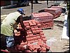 SDC12576.JPG