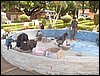 SDC12583.JPG